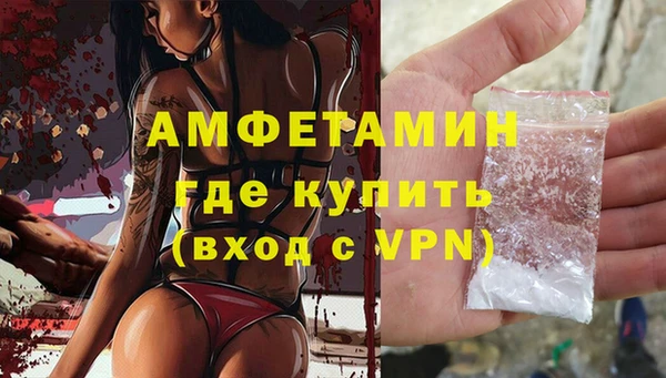 мет Алексин