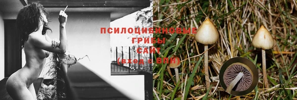 ПСИЛОЦИБИНОВЫЕ ГРИБЫ Нея