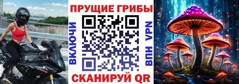 сколько стоит Чкаловск Галлюциногенные грибы MAGIC MUSHROOMS